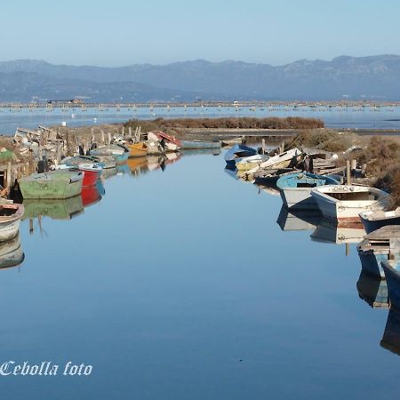 Lo Raconet Apartment Deltebre Bagian luar foto